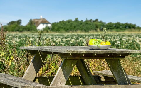Ejna: Blauw, Struik, Verblijf, Groundcover, Tuin, Landgoed, Schaduw, Landscaping, Boerderij, Eco Hotel