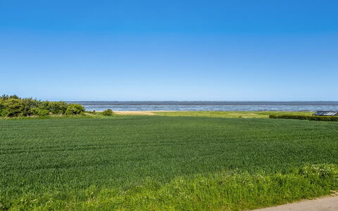 Kielo - 10Km from the Sea: Blauw, Struik, Verblijf, Groundcover, Tuin, Landgoed, Schaduw, Landscaping, Boerderij, Eco Hotel