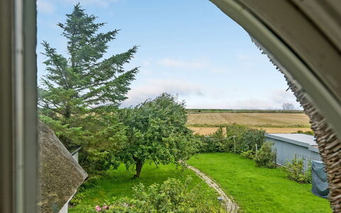 Clausina - 600M from the Sea: Blauw, Struik, Verblijf, Groundcover, Tuin, Landgoed, Schaduw, Landscaping, Boerderij, Eco Hotel