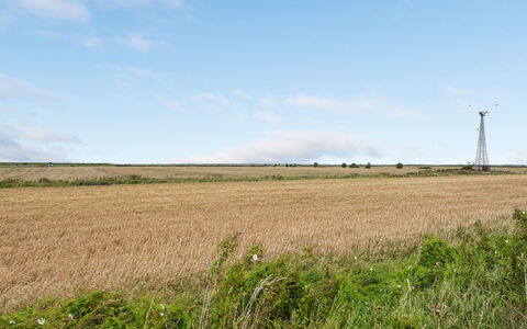 Clausina - 600M from the Sea: Blauw, Struik, Verblijf, Groundcover, Tuin, Landgoed, Schaduw, Landscaping, Boerderij, Eco Hotel