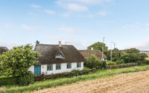 Clausina - 600M from the Sea: Blauw, Struik, Verblijf, Groundcover, Tuin, Landgoed, Schaduw, Landscaping, Boerderij, Eco Hotel