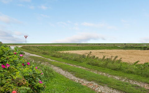 Clausina - 600M from the Sea: Blauw, Struik, Verblijf, Groundcover, Tuin, Landgoed, Schaduw, Landscaping, Boerderij, Eco Hotel