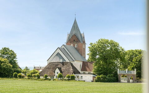 Iina - 13Km from the Sea: Blauw, Struik, Verblijf, Groundcover, Tuin, Landgoed, Schaduw, Landscaping, Boerderij, Eco Hotel