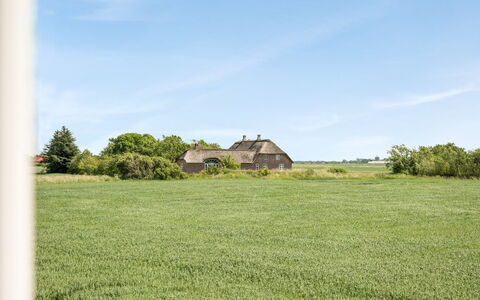 Iina - 13Km from the Sea: Blauw, Struik, Verblijf, Groundcover, Tuin, Landgoed, Schaduw, Landscaping, Boerderij, Eco Hotel