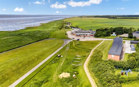 Anthonie: Gras, Grasland, Landschap, Ecoregio, Plain, Plantengemeenschap, Land Lot, Buitenmeubels, Prairie, Shrubland