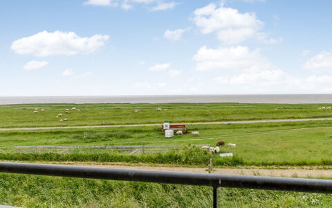 Anthonie: Gras, Grasland, Landschap, Ecoregio, Plain, Plantengemeenschap, Land Lot, Buitenmeubels, Prairie, Shrubland