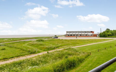 Anthonie: Gras, Grasland, Landschap, Ecoregio, Plain, Plantengemeenschap, Land Lot, Buitenmeubels, Prairie, Shrubland