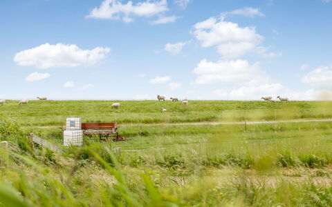 Anthonie: Gras, Grasland, Landschap, Ecoregio, Plain, Plantengemeenschap, Land Lot, Buitenmeubels, Prairie, Shrubland