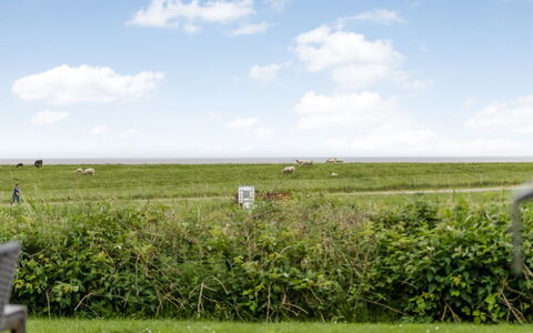 Anthonie: Gras, Grasland, Landschap, Ecoregio, Plain, Plantengemeenschap, Land Lot, Buitenmeubels, Prairie, Shrubland