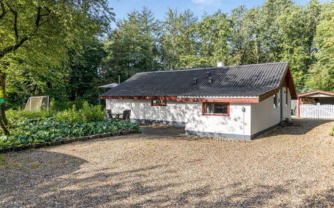 Carlene - 25Km from the Sea: Meubilair, Interieur Ontwerp, Flooring, Hout, Verdieping, Plafond, Houten Vloer, Stoel, Tafel, Verlichting