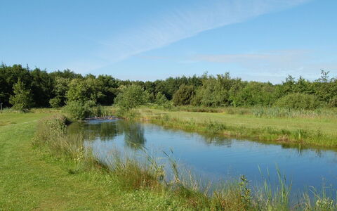 Jani - 25Km from the Sea: Water, Zwemwater, Watervoorraden, Natuurlijke Omgeving, Moeras, Grasland, Natuurlijk Landschap, Waterloop, Bank