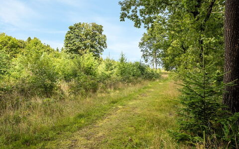 Rasmus - 29Km from the Sea: Woongebied, Dak, Voorstad, Oprit, Landgoed, Schoorsteen