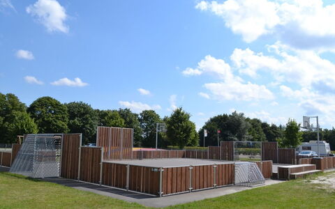 Swenki - 29Km from the Sea: Hek, Park, Home Schermen, Kunstgras
