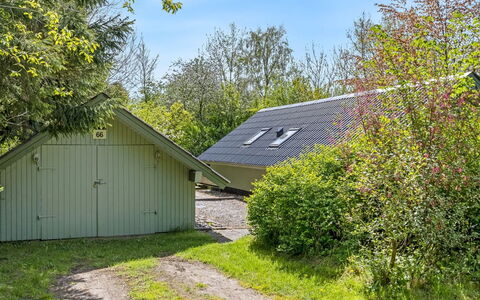 Hilla - 31Km from the Sea: Struik, Verblijf, Tuin, Garden Gebouwen, Schuur, Gazon, Werf, Landscaping, Schaduw, Backyard