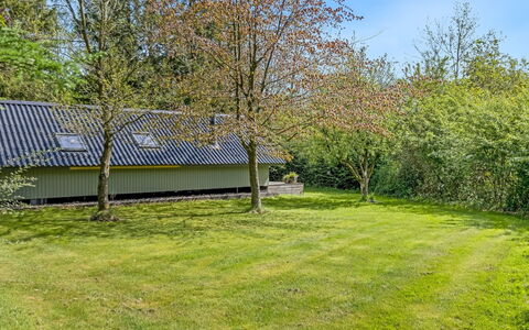 Hilla - 31Km from the Sea: Gras, Struik, Land Lot, Tuin, Plain, Groundcover, Gazon, Verblijf, Schaduw