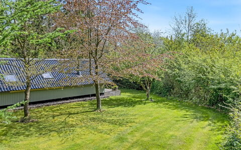 Hilla - 31Km from the Sea: Gras, Struik, Tuin, Land Lot, Groundcover, Gazon, De Lente, Backyard, Verblijf