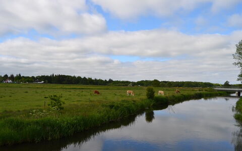 Josina - 32Km from the Sea: Lucht, Watervoorraden, Water, Zwemwater, Natuurlijke Omgeving, Natuur, Natuurlijk Landschap, Waterweg, Groen, Wolk