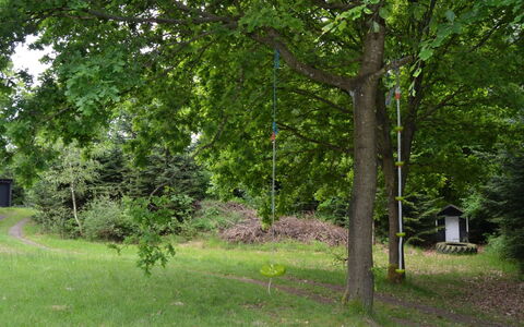 Josina - 32Km from the Sea: Blad, Boom, Afdeling, Trunk, Natuurgebied, Woody Plant, Gazon, Tuin, Bos, Schaduw