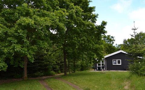Josina - 32Km from the Sea: Blad, Afdeling, Huis, Verblijf, Gazon, Schaduw, Schuur, Tuin, Garden Gebouwen, Werf