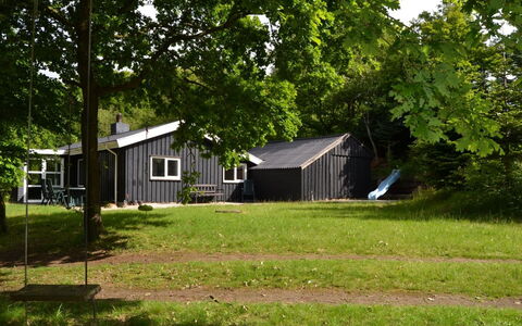 Josina - 32Km from the Sea: Gras, Boom, Huis, Huis, Verblijf, Land Lot, Gazon, Landelijk Gebied, Backyard, Garden Gebouwen