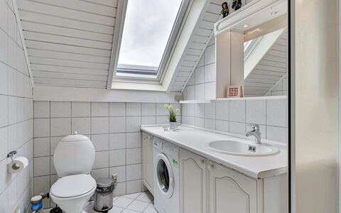 Earline - 900M to the Fjord: Flooring, Loodgieterswerkinrichting, Verdieping, Interieur Ontwerp, Plafond, Badkamer, Loodgieter, Kraan, Tegel, Wastafel