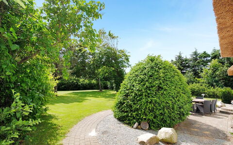 Fintan - 2Km to the Fjord: Groen, Blad, Struik, Tuin, Groundcover, Haag, Woody Plant, Landscaping, Gazon, Schaduw