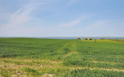 Alois - 1Km to the Fjord