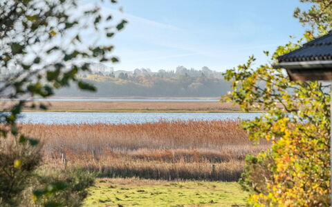 Elfriede - 400M to the Fjord: Water, Natuurlijke Omgeving, Natuurlijk Landschap, Plain, Ecoregio, Grasland, Moeras, Bank, Land Lot