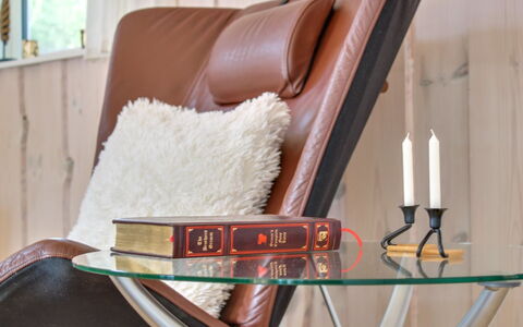 Sæby 670: Meubilair, Interieur Ontwerp, Woonkamer, Comfort, Kussen, Leer, Stoel, Bankstel, Kussen Gooien, Hoofdkussen
