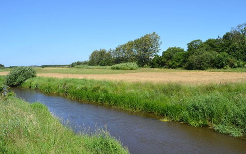 Esja - 22Km from the Sea: Watervoorraden, Zwemwater, Gras, Natuurlijke Omgeving, Natuurlijk Landschap, Waterweg, Waterloop, Moeras, Bank