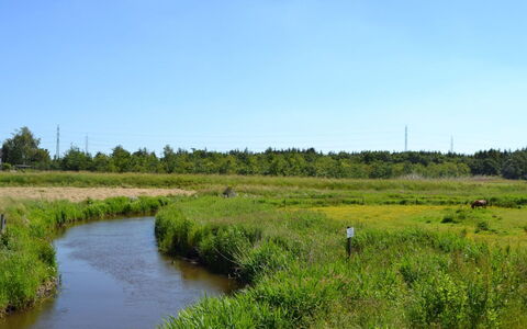 Esja - 22Km from the Sea: Lucht, Watervoorraden, Moeras, Natuurlijke Omgeving, Natuurlijk Landschap, Grasland, Waterloop, Plain