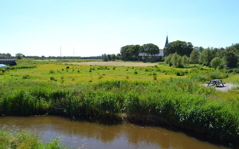Esja - 22Km from the Sea: Water, Watervoorraden, Gras, Natuurlijke Omgeving, Groen, Natuurlijk Landschap, Moeras, Grasland