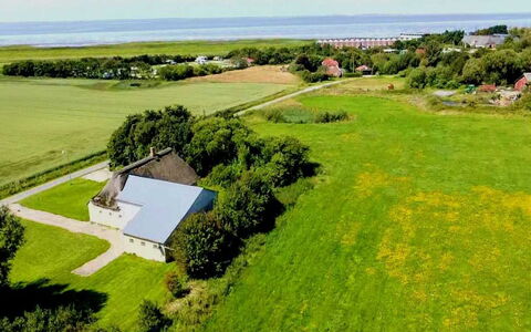 Thorarin - 25Km from the Sea: Gras, Grasland, Landschap, Ecoregio, Plain, Plantengemeenschap, Land Lot, Buitenmeubels, Prairie, Shrubland