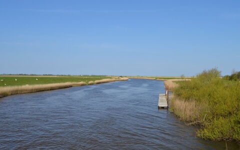 Inda - 10Km from the Sea: Gras, Huis, Dak, Huis, Verblijf, Struik, Land Lot, Landelijk Gebied, Boerderij, Groundcover