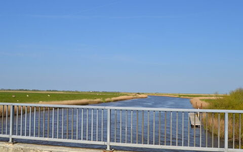 Inda - 10Km from the Sea: Gras, Huis, Dak, Huis, Verblijf, Struik, Land Lot, Landelijk Gebied, Boerderij, Groundcover
