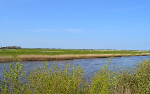 Inda - 10Km from the Sea: Gras, Huis, Dak, Huis, Verblijf, Struik, Land Lot, Landelijk Gebied, Boerderij, Groundcover