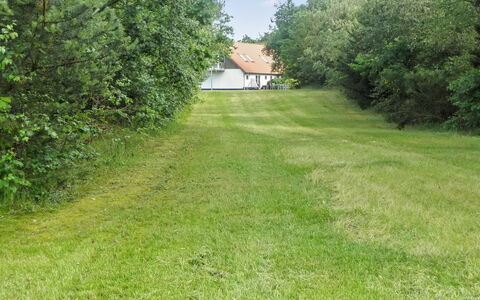 Beatha - 25Km to the Fjord: Gras, Boom, Grasland, Struik, Land Lot, Gazon, Groundcover, Weide