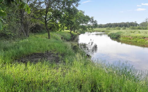 Beatha - 25Km to the Fjord: Lucht, Watervoorraden, Water, Zwemwater, Gras, Natuurlijk Landschap, Natuurlijke Omgeving, Moeras, Natuur, Groen