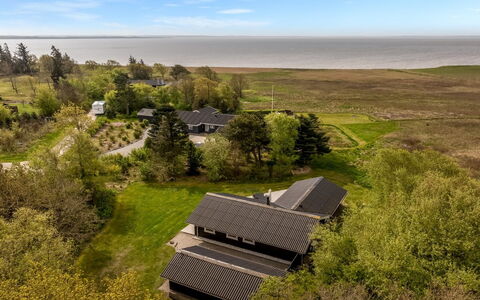 Eske - 200M to the Fjord: Gras, Grasland, Landschap, Ecoregio, Plain, Plantengemeenschap, Land Lot, Buitenmeubels, Prairie, Shrubland
