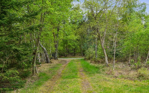 Niglæs - 700M from the Sea: Zwembad, Buitenmeubels, Meubilair, Toevlucht, Flagstone, Eco Hotel, Schaduw, Stoel, Vrije Tijd, Landgoed