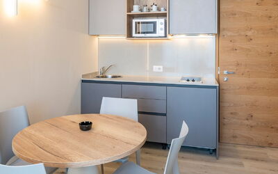 Accommodatie:&nbsp;Panorama 54.1