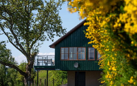 Drumnadrochit 121: Fabriek, Lucht, Eigendom, Gebouw, Natuur, Blad, Natuurlijk Landschap, Bloem, Boom, Geel