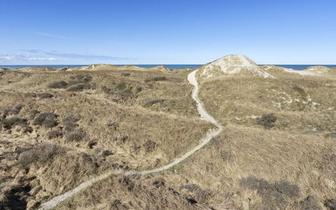 Solunka - 100M from the Sea: Ecoregio, Landschap, Terrein, Plantengemeenschap, Wildernis, Shrubland, Geologie, Trail, Helling, Dicht Struikgewas