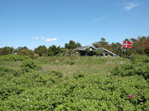 Nilda - 1Km from the Sea