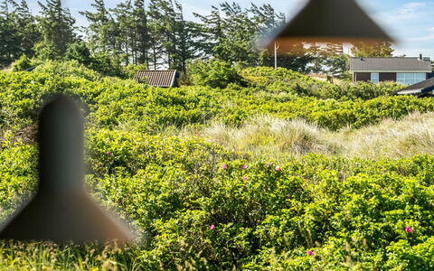 Sigrid - 400M from the Sea: Groen, Vegetation, Struik, Plantengemeenschap, Land Lot, Groundcover, Shrubland, Tuin, Plantage