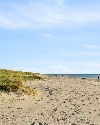 Alvy - 200M from the Sea
