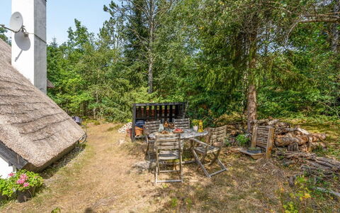 Olaf - 1.4Km from the Sea: Vegetation, Struik, Land Lot, Verblijf, Landelijk Gebied, Tuin, Thatching, Schaduw, Backyard, Dorp