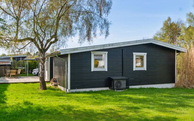 Bassi - 650M from the Sea