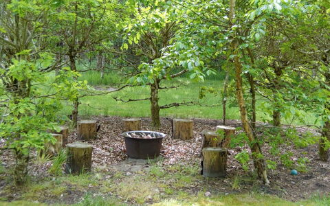 Hailka: Blad, Afdeling, Plantengemeenschap, Trunk, Woody Plant, Tuin, Bos, Bodem, Backyard