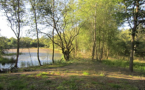 Wilmer - 40Km from the Sea: Dak, Huis, Deur, Verblijf, Schaduw, Siding, Werf, Landgoed, Backyard